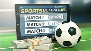 Discover the Thrills of Online Betting with Safi Bet 13