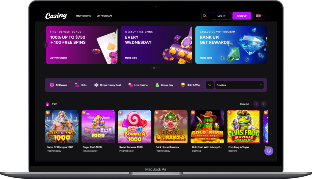 Complete Guide to Casiny Login for New Users
